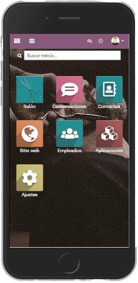 Odoo • Texto e imagen