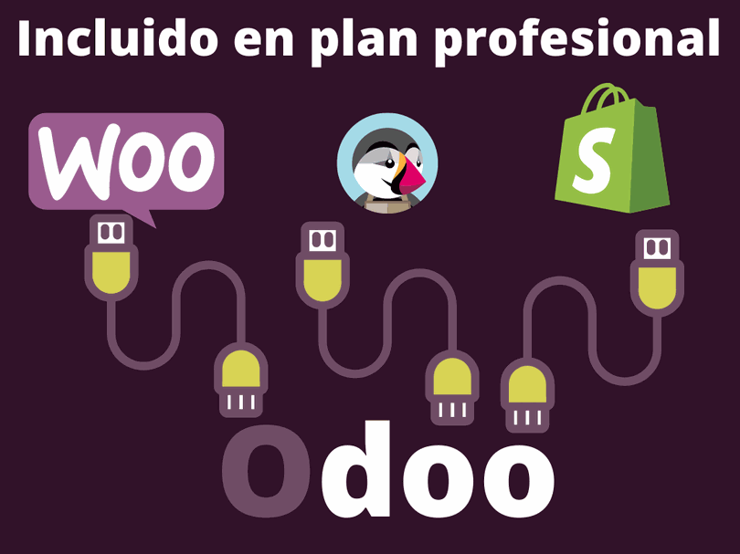 Odoo • Texto e imagen