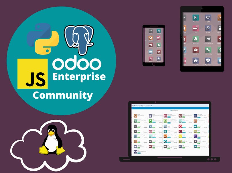Odoo • Texto e imagen